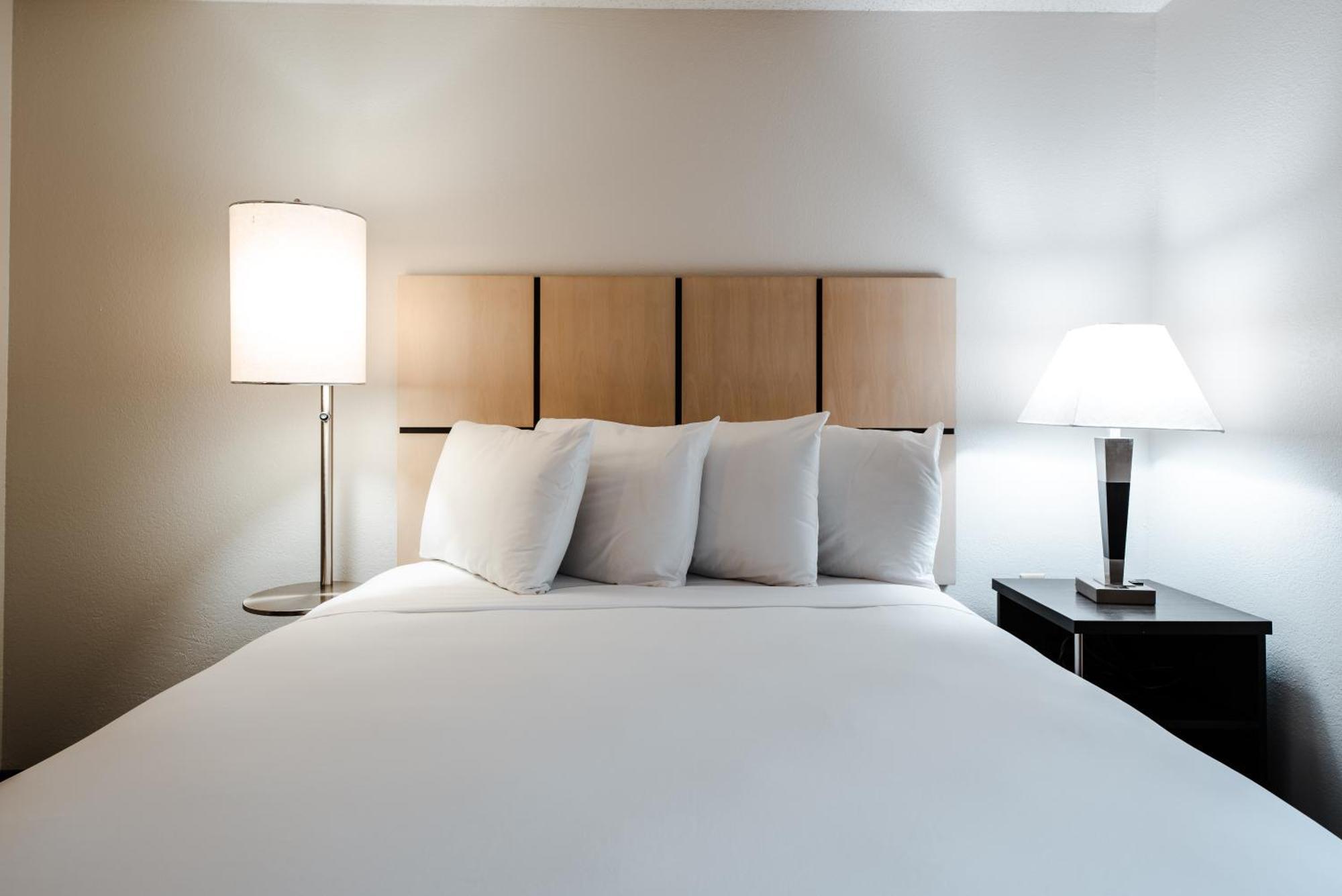 Studio Queen Suite Bathtub Mobility Accessible