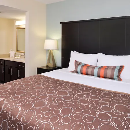 Staybridge Suites Dallas/Addison, An Ihg Hotel-3