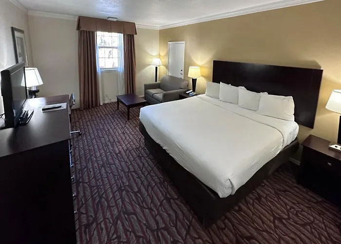 Suites Dallas Tx Downtown